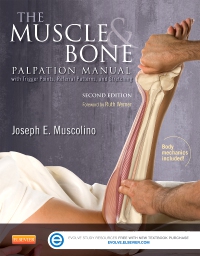 cover image - The Muscle and Bone Palpation Manual with Trigger Points, Referral Patterns and Stretching - Elsevier eBook on VitalSource, 2nd Edition