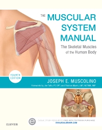 cover image - The Muscular System Manual - Elsevier eBook on VitalSource, 4th Edition