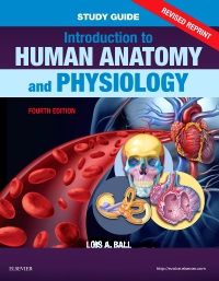 cover image - Study Guide for Introduction to Human Anatomy and Physiology - Revised Reprints, 4th Edition