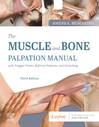 cover image - The Muscle and Bone Palpation Manual with Trigger Points, Referral Patterns and Stretching Elsevier eBook on VitalSource, 3rd Edition