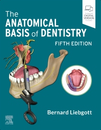 cover image - The Anatomical Basis of Dentistry, 5th Edition