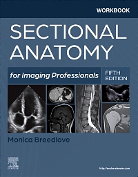 cover image - Workbook for Sectional Anatomy for Imaging Professionals Elsevier eBook on VitalSource, 5th Edition