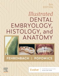 cover image - Illustrated Dental Embryology, Histology, and Anatomy, 6th Edition