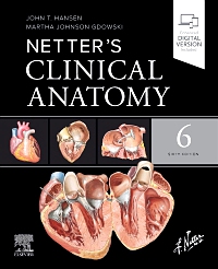 cover image - Netter's Clinical Anatomy, 6th Edition