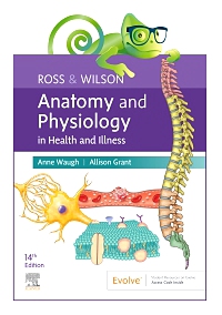 cover image - Elsevier Adaptive Quizzing for Ross & Wilson Anatomy and Physiology in Health and Illness 14th Edition, 1st Edition
