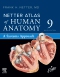 Netter Atlas of Human Anatomy: A Systems Approach - Elsevier E-Book on VitalSource, 9th Edition