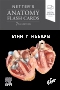 Netter's Anatomy Flash Cards - Elsevier E-Book on VitalSource, 7th Edition